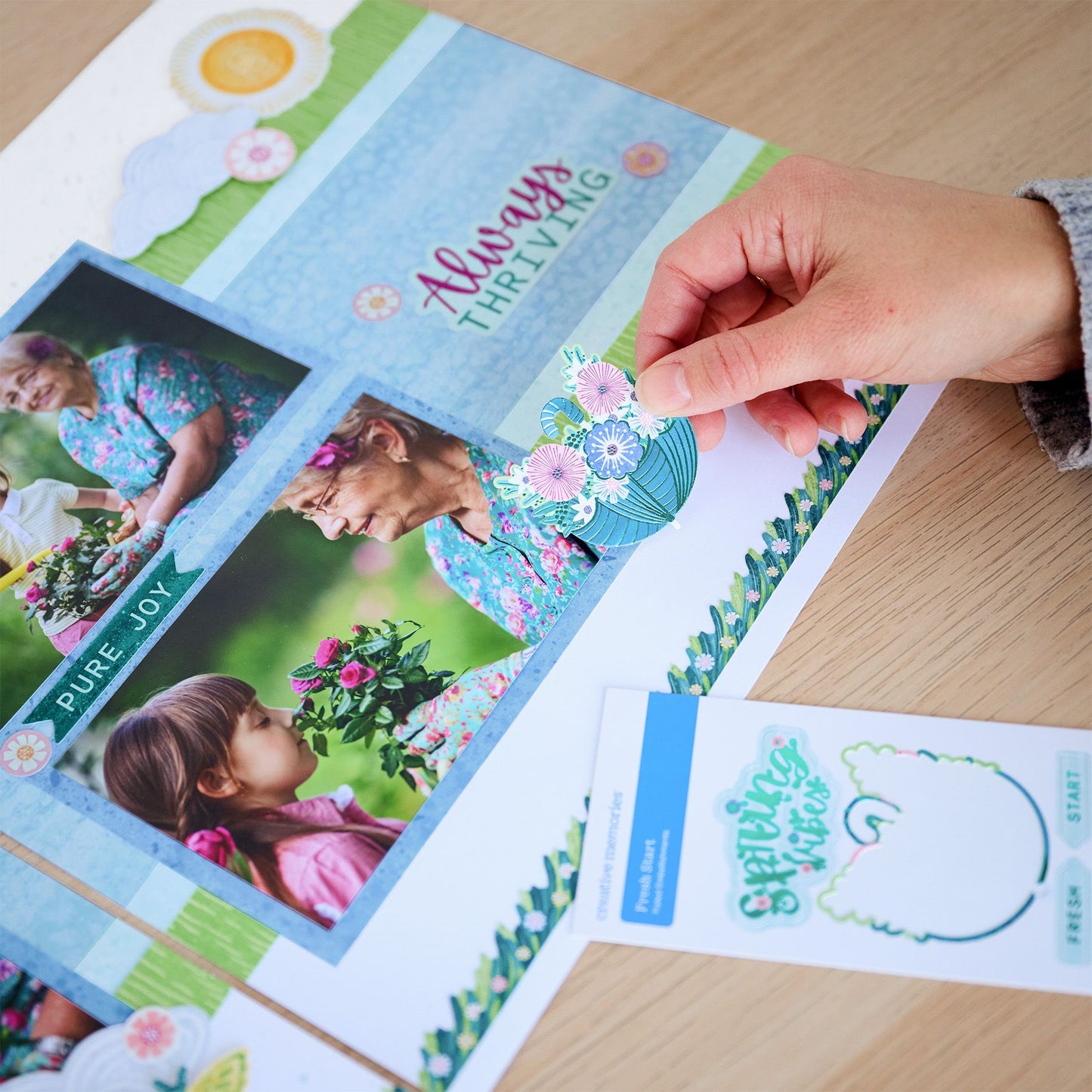 フレッシュスタート　エンバリッシュメント