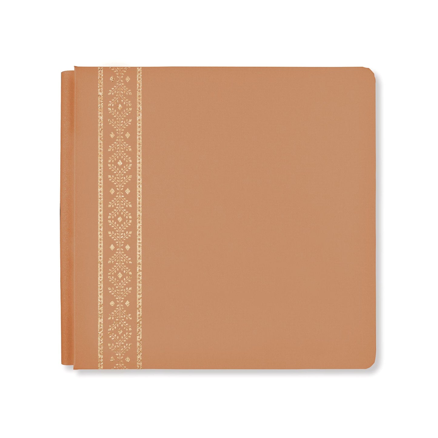 12X12アルバムカバー　ナチュラル・ビギニング　キャラメル